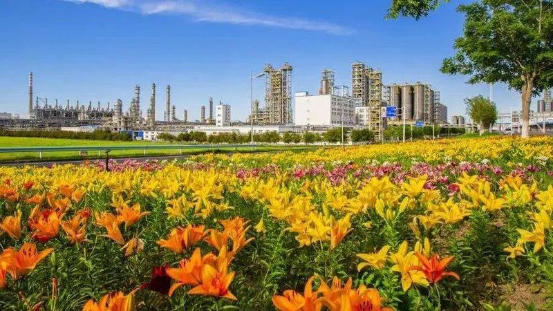 分散剂在化工生产中的关键作用：揭秘十大品牌排行榜**