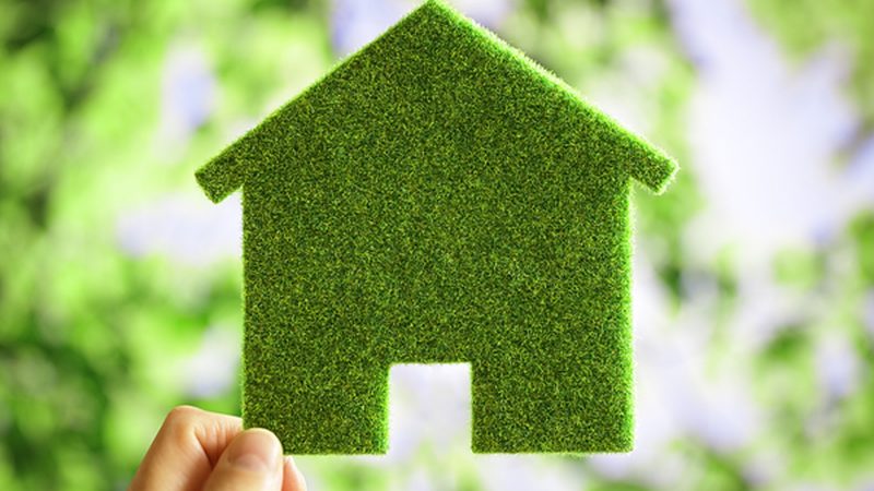 涂料增稠剂：揭秘其重要作用与选购要点